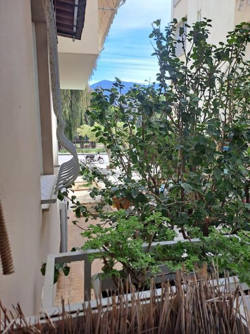 Δίπλα Στο Πάρκο Apartment Kalamata Exterior photo